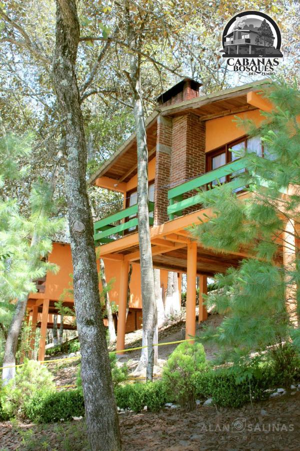 Cabanas Los Bosques Del Zembo Huasca de Ocampo Exterior foto